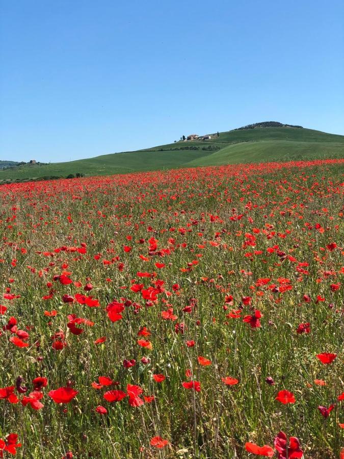 Agriturismo Poggio Tobruk Пиенца Экстерьер фото