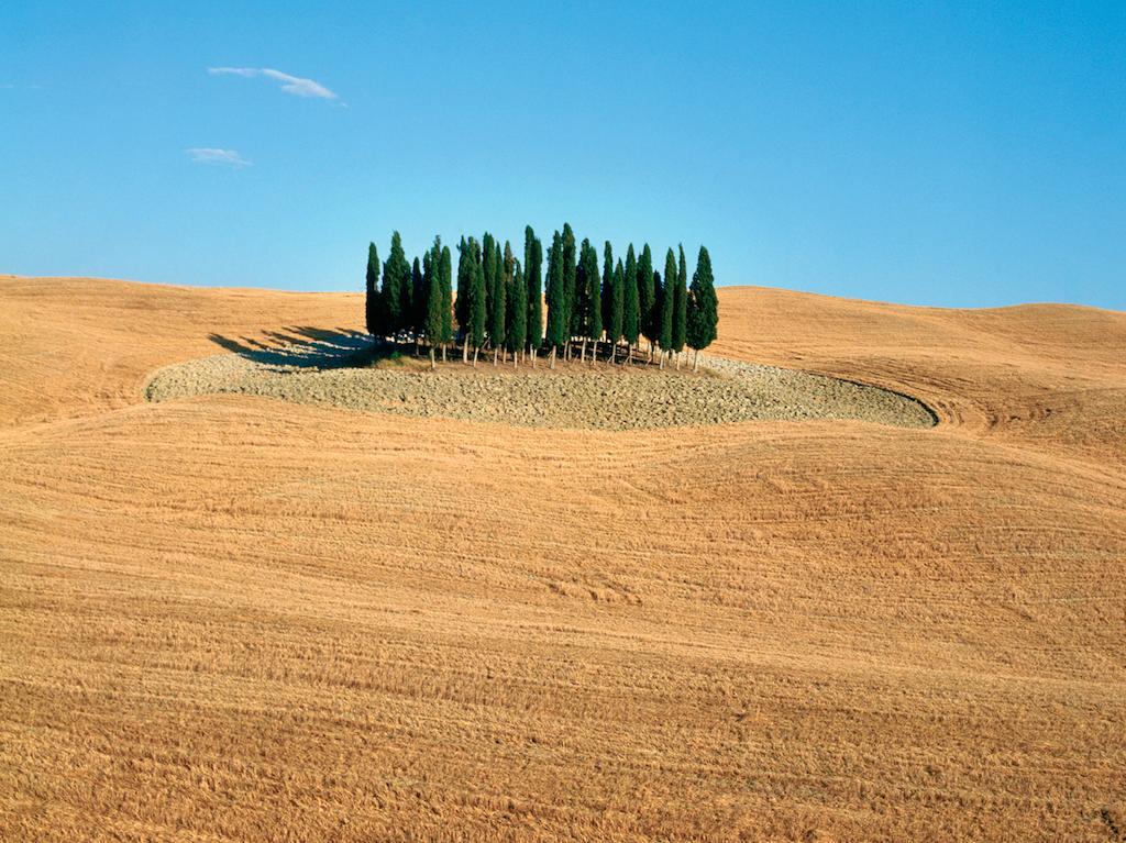 Agriturismo Poggio Tobruk Пиенца Экстерьер фото