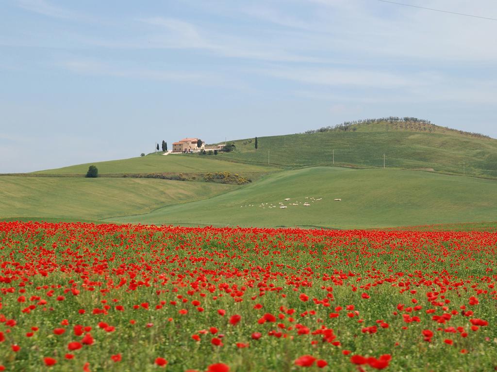 Agriturismo Poggio Tobruk Пиенца Экстерьер фото