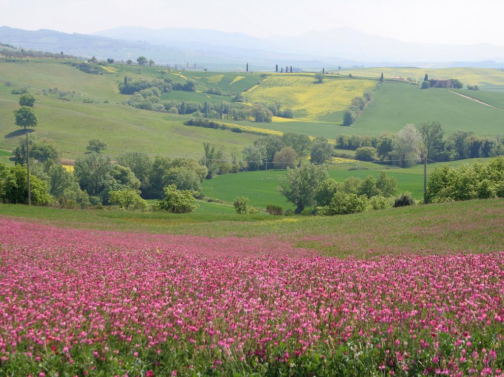 Agriturismo Poggio Tobruk Пиенца Экстерьер фото